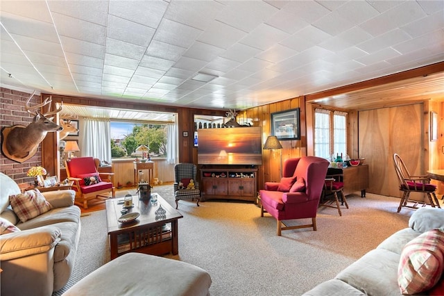 8545 Greig St, Sodus, NY 14555 - carpeted living room featuring wood walls