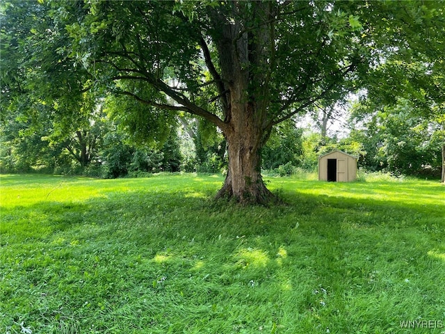 3980 Ridgelea Dr, Newfane, NY 14094 - view of yard featuring a storage shed