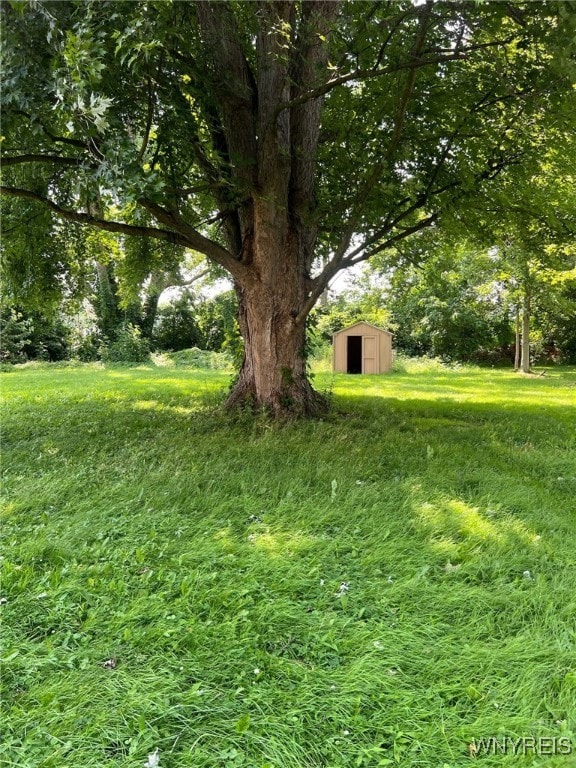 3980 Ridgelea Dr, Newfane, NY 14094 - view of yard featuring an outdoor structure