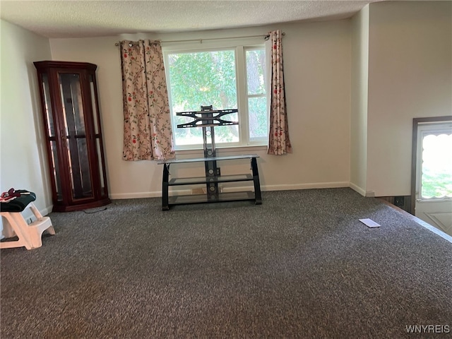 3980 Ridgelea Dr, Newfane, NY 14094 - carpeted empty room with a textured ceiling