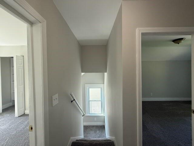 41 Garnet St, Rochester, NY 14609 - stairway with carpet