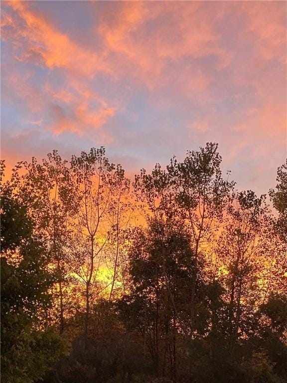 3919 N Park Way, Walworth, NY 14568 - view of nature at dusk