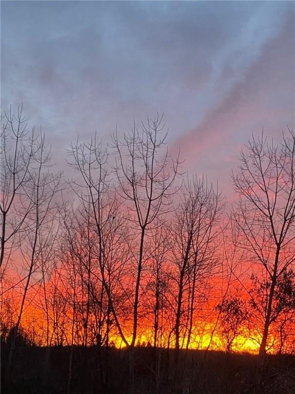 3919 N Park Way, Walworth, NY 14568 - view of nature