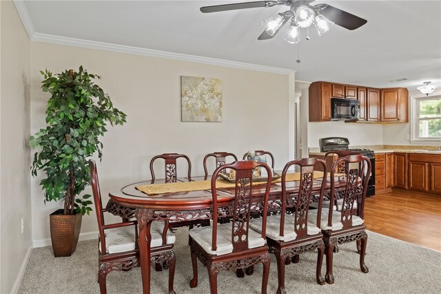 6286 Fisher Hill Rd, Canandaigua Town, NY 14424 - photo 7