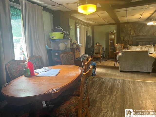 3309 Five Mile Rd, Allegany, NY 14706 - photo 10