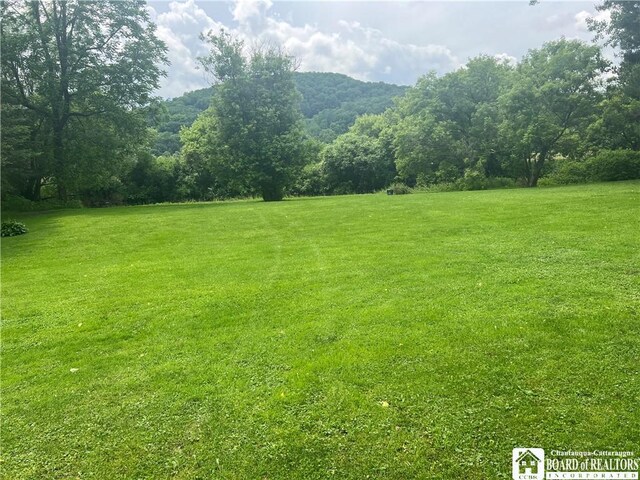 3309 Five Mile Rd, Allegany, NY 14706 - photo 11