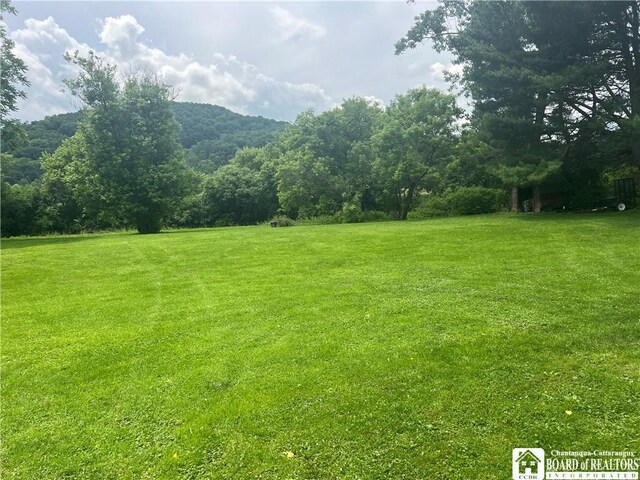 3309 Five Mile Rd, Allegany, NY 14706 - photo 12