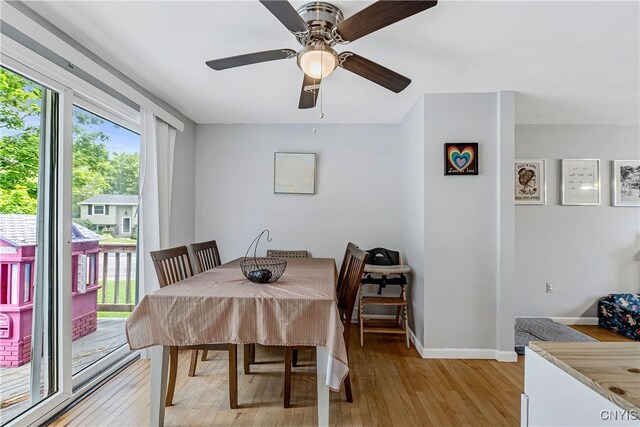 8010 Casilina Dr, Clay, NY 13041 - photo 13