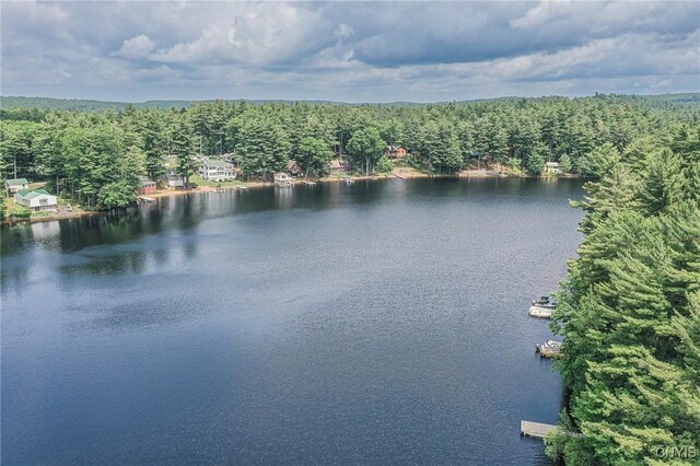 19 Green Point Rd, Colton, NY 13625 - photo 33