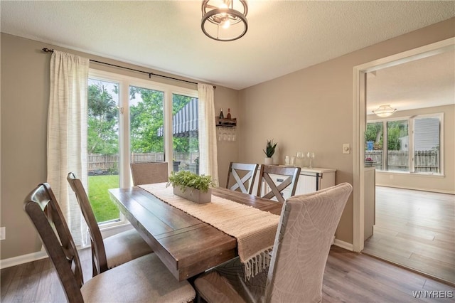278 Shady Grove Dr, Amherst, NY 14051 - dining space with healthy amount of natural light and wood finished floors