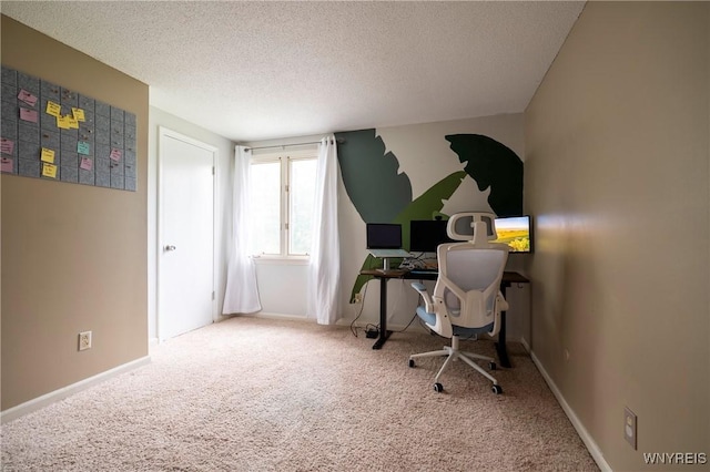 278 Shady Grove Dr, Amherst, NY 14051 - office space with carpet and a textured ceiling