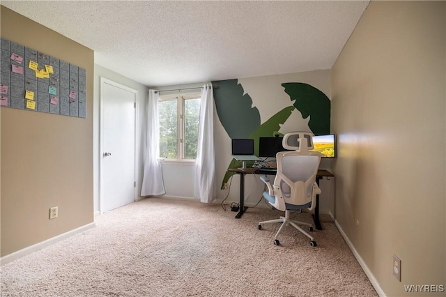 278 Shady Grove Dr, Amherst, NY 14051 - carpeted home office with a textured ceiling and baseboards