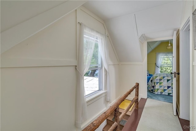 44420 Butterfield, Alexandria, NY 13607 - hallway featuring vaulted ceiling, healthy amount of natural light, and carpet floors