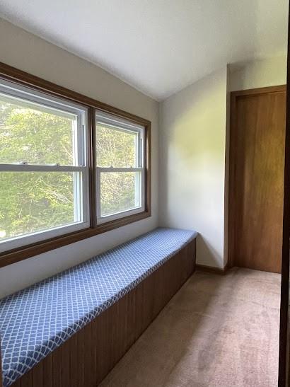 22869AND22871 State Highway 23, Harpersfield, NY 13786 - bedroom featuring light colored carpet