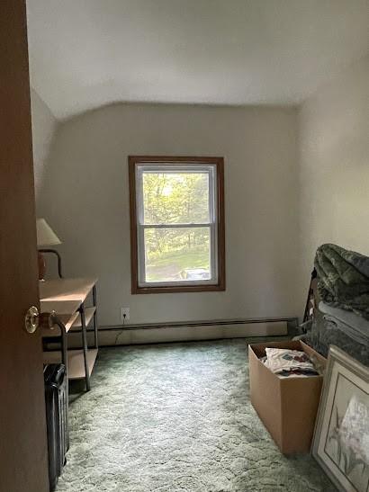 22869AND22871 State Highway 23, Harpersfield, NY 13786 - bonus room featuring lofted ceiling and light colored carpet