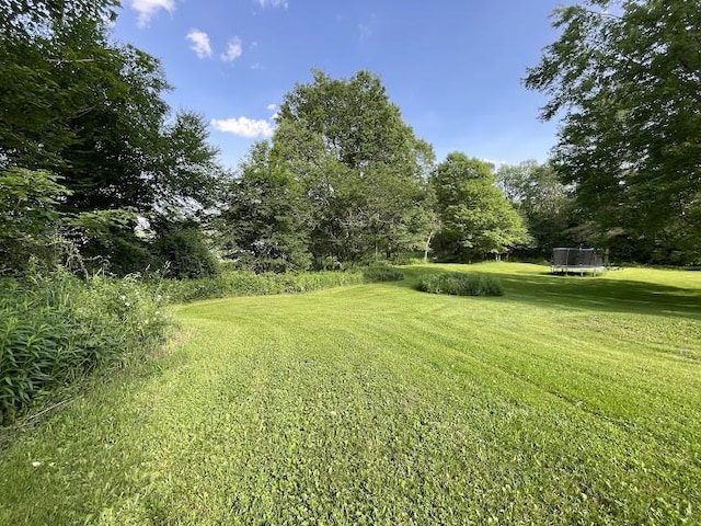 22869AND22871 State Highway 23, Harpersfield, NY 13786 - view of grassy yard