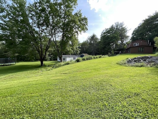 22869AND22871 State Highway 23, Harpersfield, NY 13786 - view of green lawn with a trampoline and view of wooded area