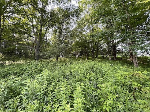 22869AND22871 State Highway 23, Harpersfield, NY 13786 - view of nature