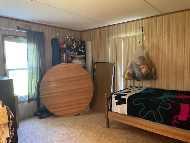 22869AND22871 State Highway 23, Harpersfield, NY 13786 - bedroom with light carpet and wooden walls