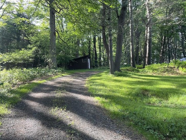 22869AND22871 State Highway 23, Harpersfield, NY 13786 - view of dirt / gravel driveway featuring a view of trees