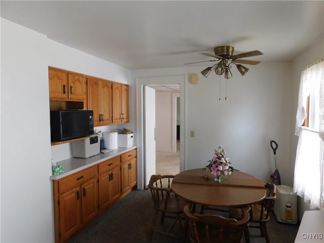 209 Shotwell Park, Syracuse, NY 13206 - photo 9