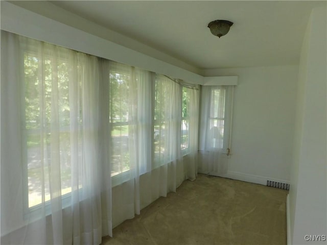 209 Shotwell Park, Syracuse, NY 13206 - photo 16
