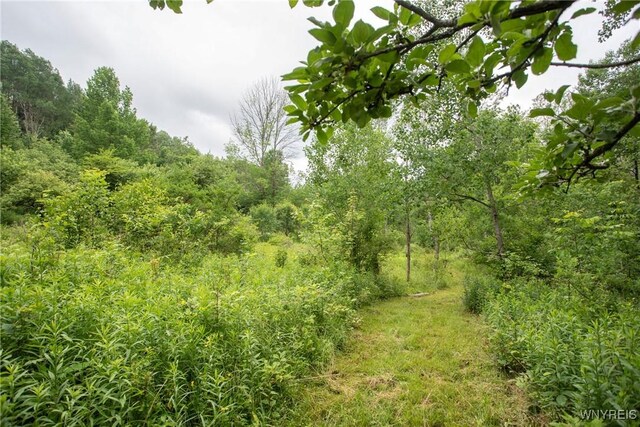 7756 Rte 219, Ellicottville, NY 14731 - photo 27