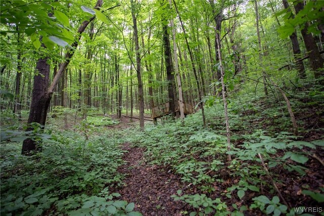 7756 Rte 219, Ellicottville, NY 14731 - photo 31