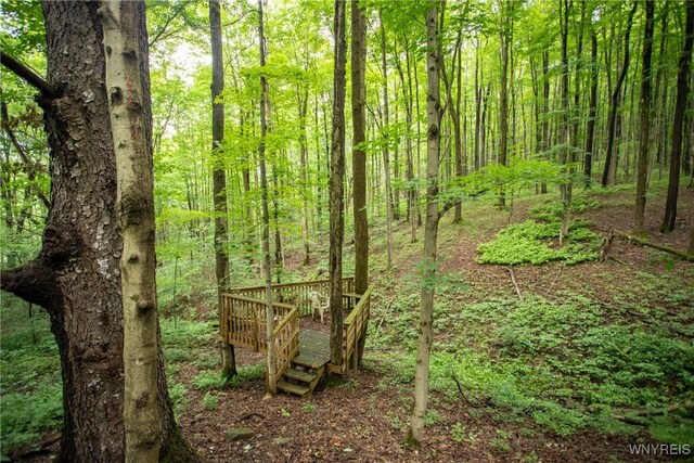 7756 Rte 219, Ellicottville, NY 14731 - photo 32
