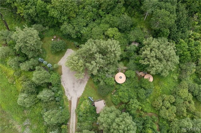 7756 Rte 219, Ellicottville, NY 14731 - photo 35