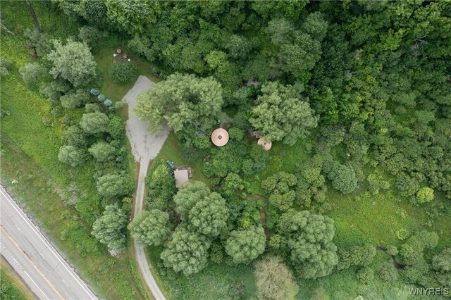 7756 Rte 219, Ellicottville, NY 14731 - photo 36