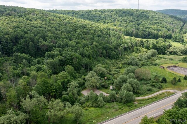 7756 Rte 219, Ellicottville, NY 14731 - photo 37
