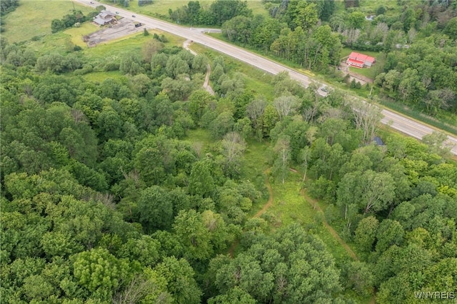 7756 Rte 219, Ellicottville, NY 14731 - photo 39