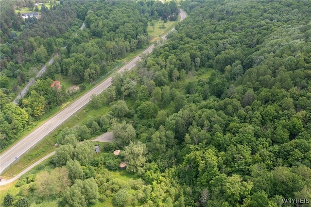 7756 Rte 219, Ellicottville, NY 14731 - photo 40