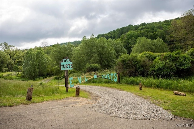 7756 Rte 219, Ellicottville, NY 14731 - photo 1