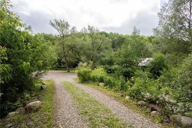 7756 Rte 219, Ellicottville, NY 14731 - photo 3