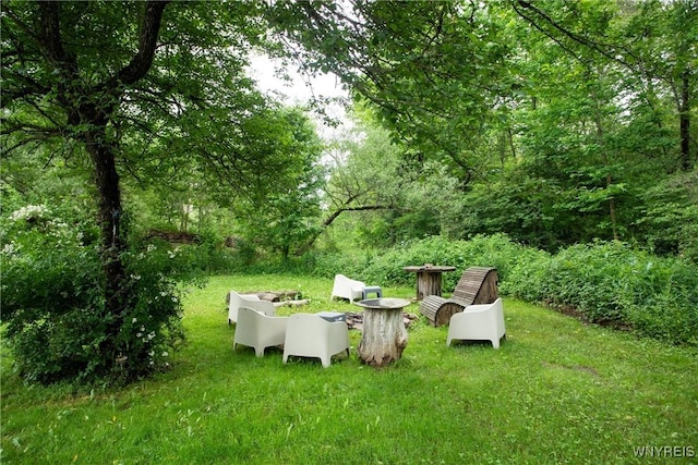 7756 Rte 219, Ellicottville, NY 14731 - photo 4
