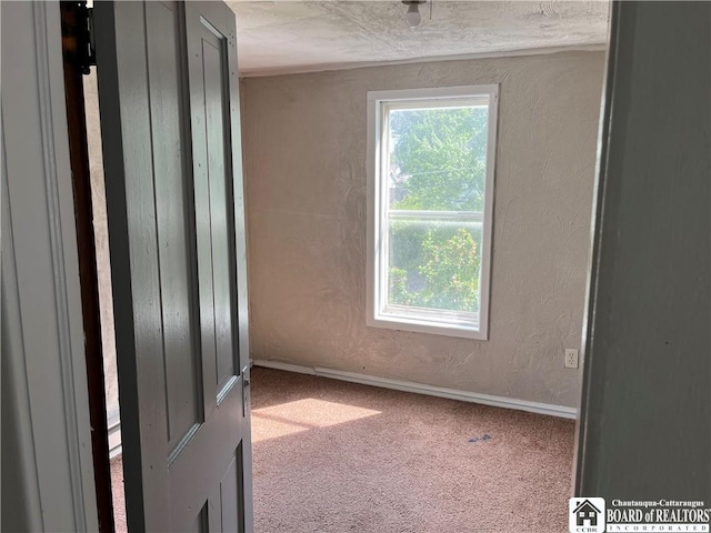 14 Dearing Ave, Jamestown, NY 14701 - carpeted empty room featuring healthy amount of natural light and a textured wall