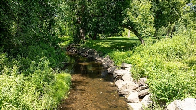 346 Willowood Dr, Greece, NY 14612 - view of local wilderness