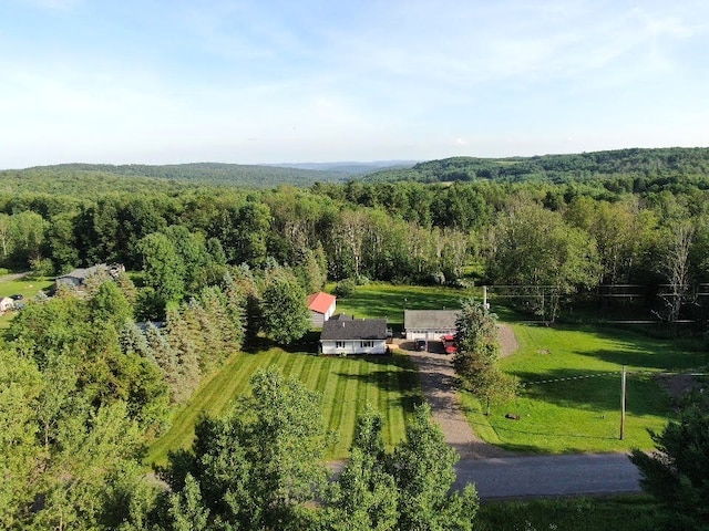 504 Whites Hill Rd, Guilford, NY 13780 - view of subject property with a heavily wooded area