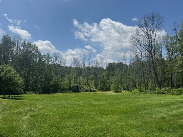 504 Whites Hill Rd, Guilford, NY 13780 - view of green lawn with a forest view