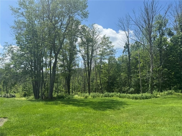 504 Whites Hill Rd, Guilford, NY 13780 - view of wooded area