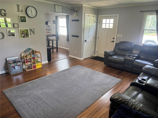 504 Whites Hill Rd, Guilford, NY 13780 - living area featuring crown molding, healthy amount of natural light, and dark wood finished floors