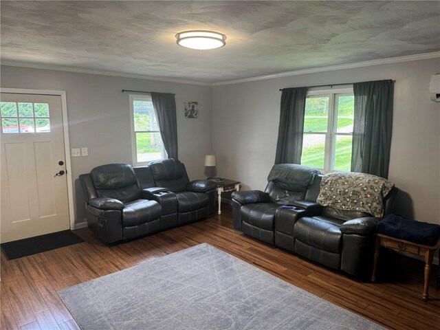 504 Whites Hill Rd, Guilford, NY 13780 - living area featuring healthy amount of natural light, wood finished floors, ornamental molding, and a wall unit AC