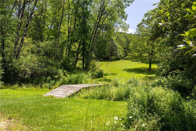 521 Irish Settlement Rd, Dryden, NY 13068 - photo 13