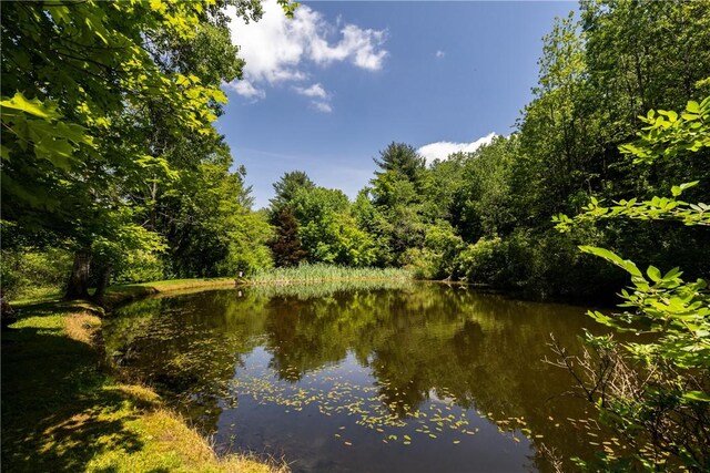 521 Irish Settlement Rd, Dryden, NY 13068 - photo 10
