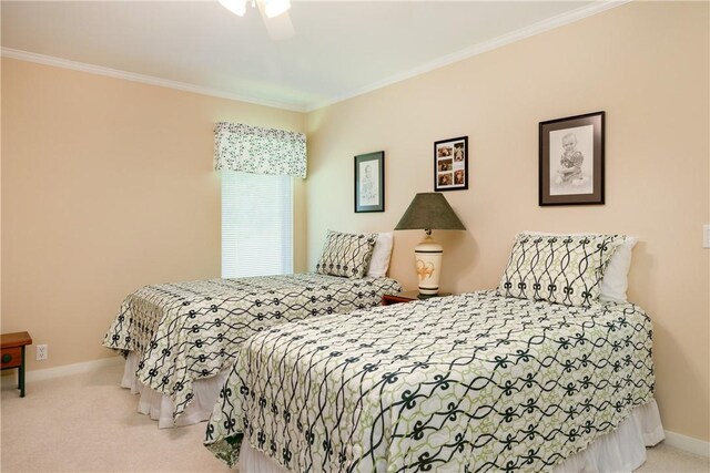 521 Irish Settlement Rd, Dryden, NY 13068 - photo 20