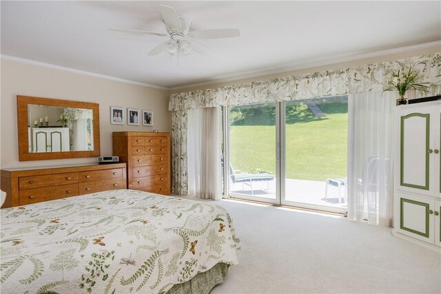 521 Irish Settlement Rd, Dryden, NY 13068 - photo 22