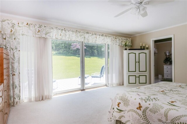 521 Irish Settlement Rd, Dryden, NY 13068 - photo 25