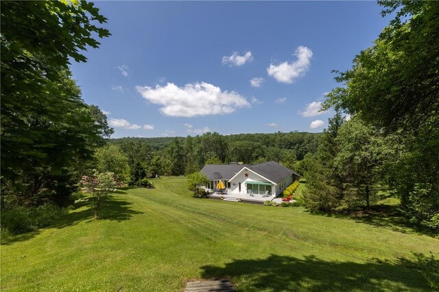 521 Irish Settlement Rd, Dryden, NY 13068 - photo 45